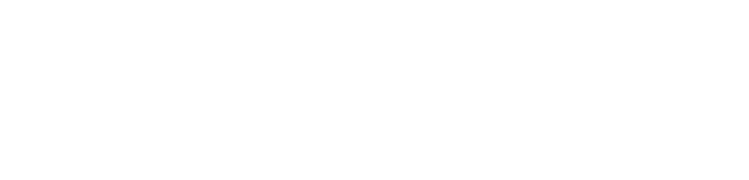 Logo White